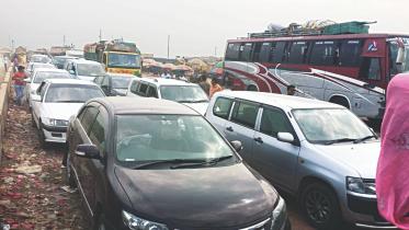 shimulia tailback 1.jpg