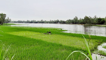 Sirajganj.jpg