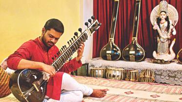 sitar