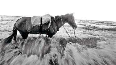 Sheikh Mehedi Morshed