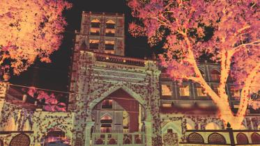 Some animals are more equal than others