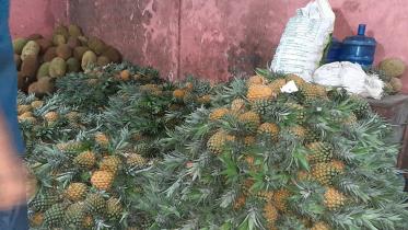 Srimangal-pineapples.jpg