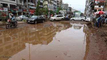 Star Day At a Glance.jpg