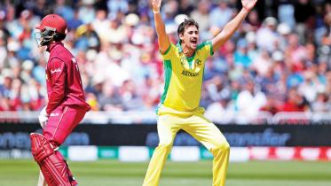 Starc.jpg