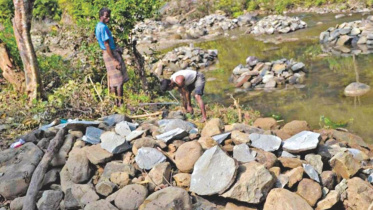 Stop stone extraction.jpg