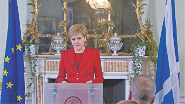 Sturgeon.jpg