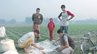 Subsidised fertiliser 1.jpg