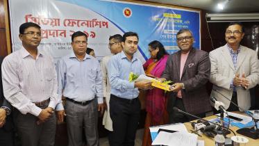 Media Fellowship 2019