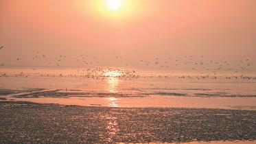 Nijhum Dwip under Noakhali