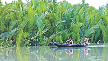 sundarban.jpg