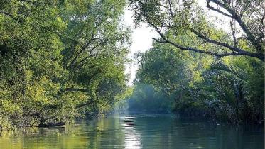 sundarbans_3.jpg