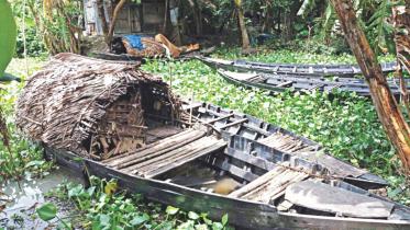 Sundarbans as Sanctuary