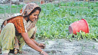 Sustainable development 1.jpg