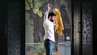 Sydney Film Festival feat.jpg