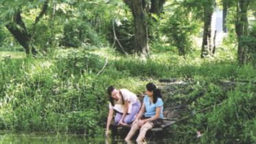 Syndromes and a Century.jpg