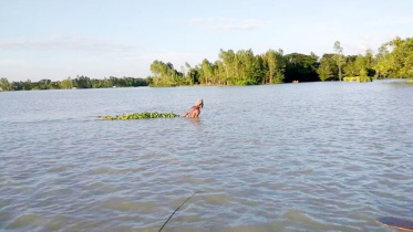 Tangail flood.jpg