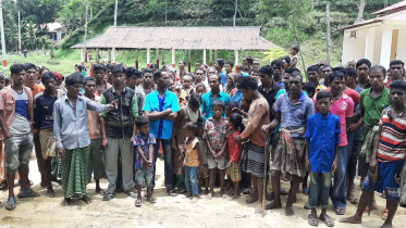 tea Garden in Moulvibazar.jpg