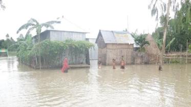 Water flows of Teesta River
