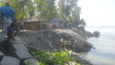 Teesta devouring.jpg