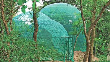 The Butterfly Park & Research Centre