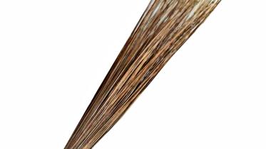 The Chronicles of Wonder Bua