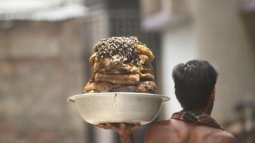 The honey collectors