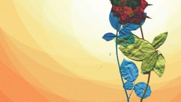 THE MORE THINGS CHANGE THE MORE THEY STAY THE SAME