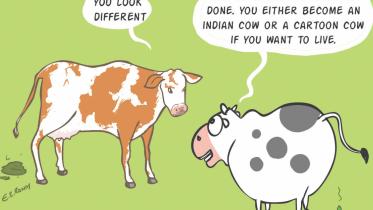 The new wave in Qurbani