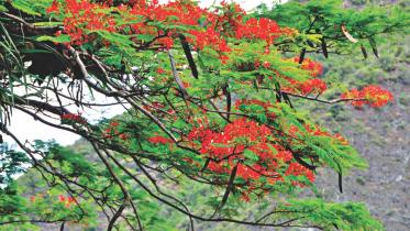 The simpler things in life