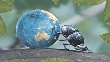 There is a bug on my back