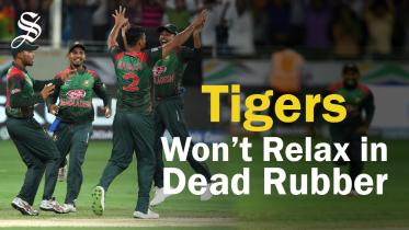 Tiger wont relax.jpg