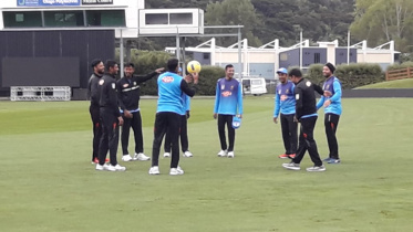 Tigers during practice.jpg
