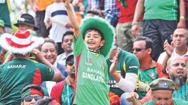 tigers fans every.jpg