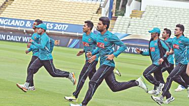 tigers in practice 1.jpg