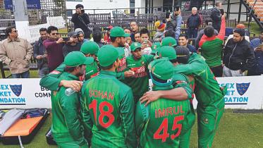 tigers in Sussex.jpg