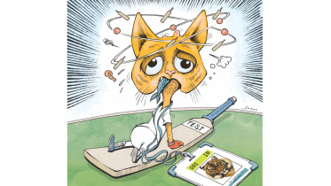 tigers in test.jpg