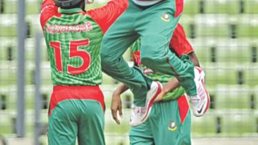 tigers joy wicket.jpg