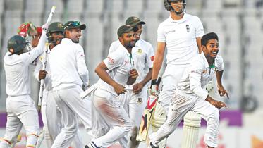 tigers test match.jpg