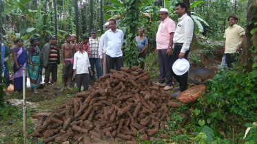 18th century rockets