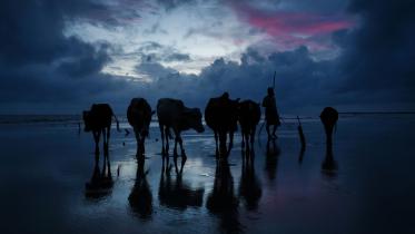 To Love Wholeheartedly