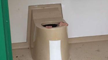 stuck down loo, Norway man, Cato Berntsen Larsen, off beat