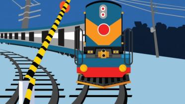 special parcel train