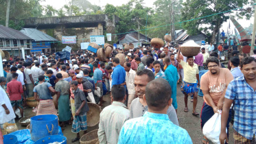 transporting hilsa 1.jpg