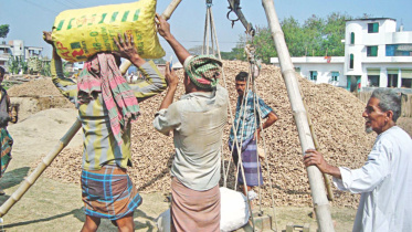 Turmeric traders 1.jpg