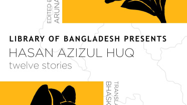 Twelve Stories by Hasan Azizul Haq