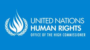 UN_humanrights.jpg