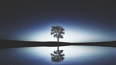 Unstable Serenity.jpg