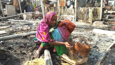 urban development.jpg