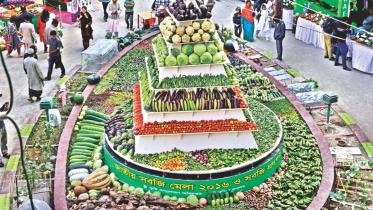 Vegetable fair.JPG