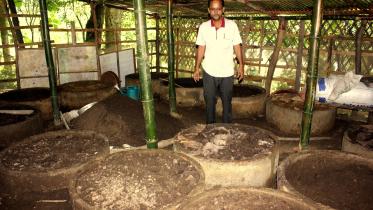 Vermicompost rangamati.jpg